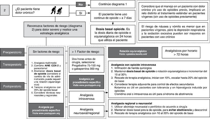 Evaluación Del Dolor Postoperatorio, Estandarización De Protocolos De ...