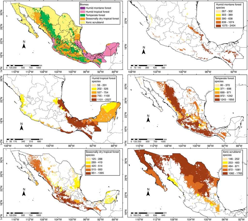 Checklist of the native vascular plants of Mexico