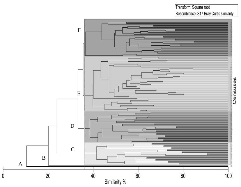 Latitudinal Variation In Structure And Function Of Conspicuous Reef ...