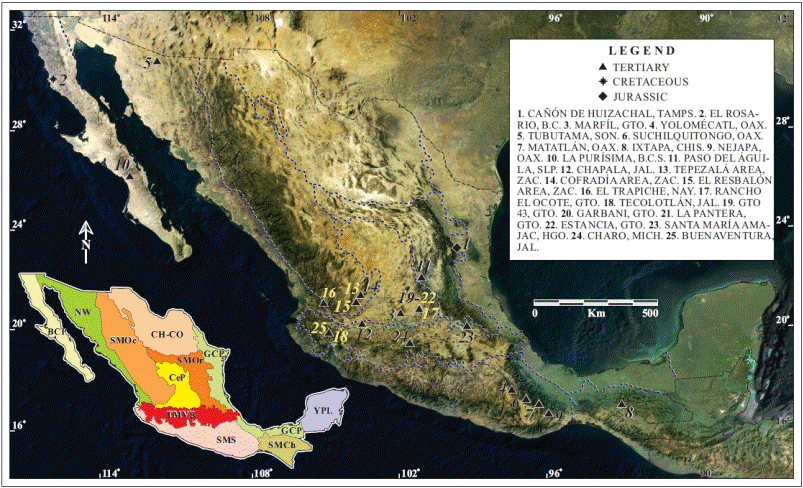 Isotope geochronology and vertebrate paleontology in Mexico: Panorama ...