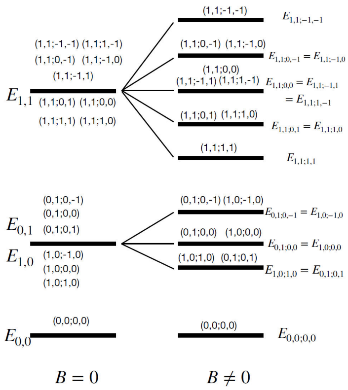 proton-wave-function-in-a-water-molecule-breakdown-of-degeneracy