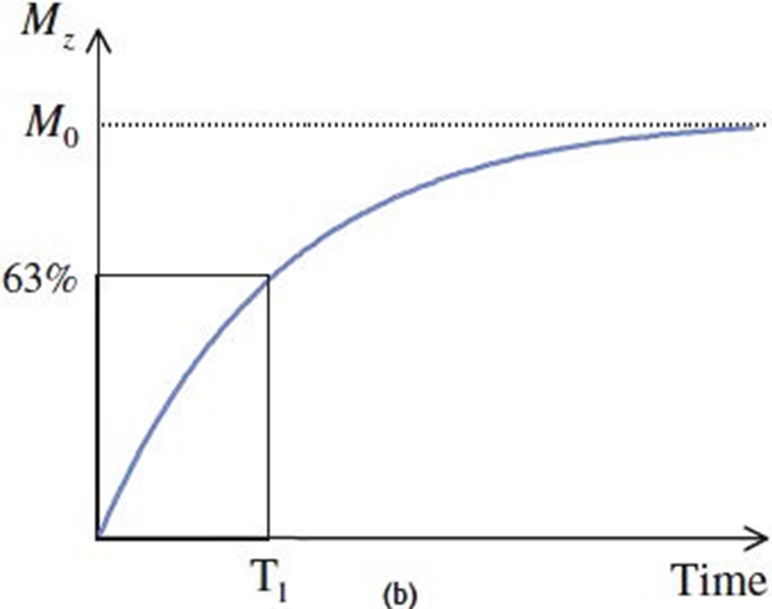 Quantum-mechanical aspects of magnetic resonance imaging