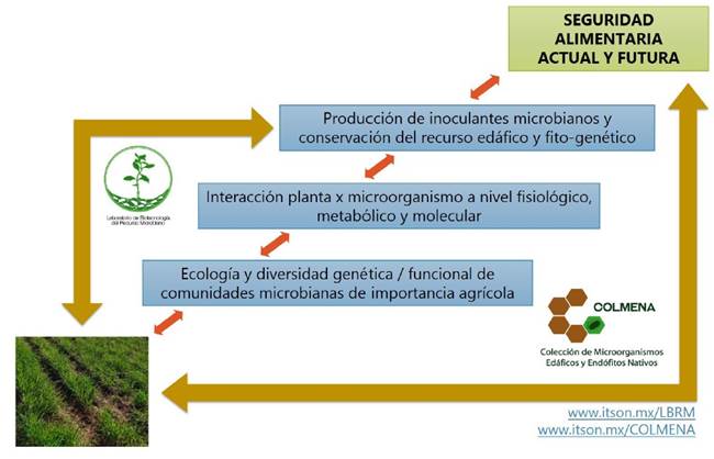 Changes in the research conduction on agro-biotechnology due to COVID ...