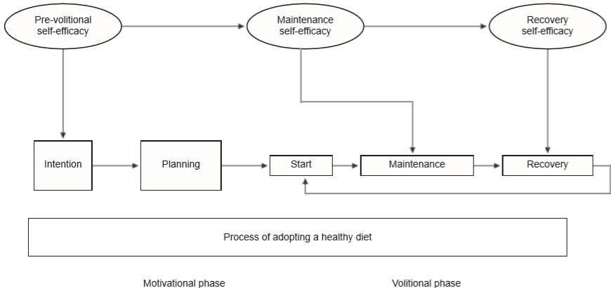 psychometric-properties-of-the-self-efficacy-scale-for-a-healthy-diet