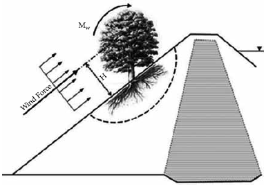 Hazards Caused by Uncontrolled Vegetation and Inadequate Maintenance ...